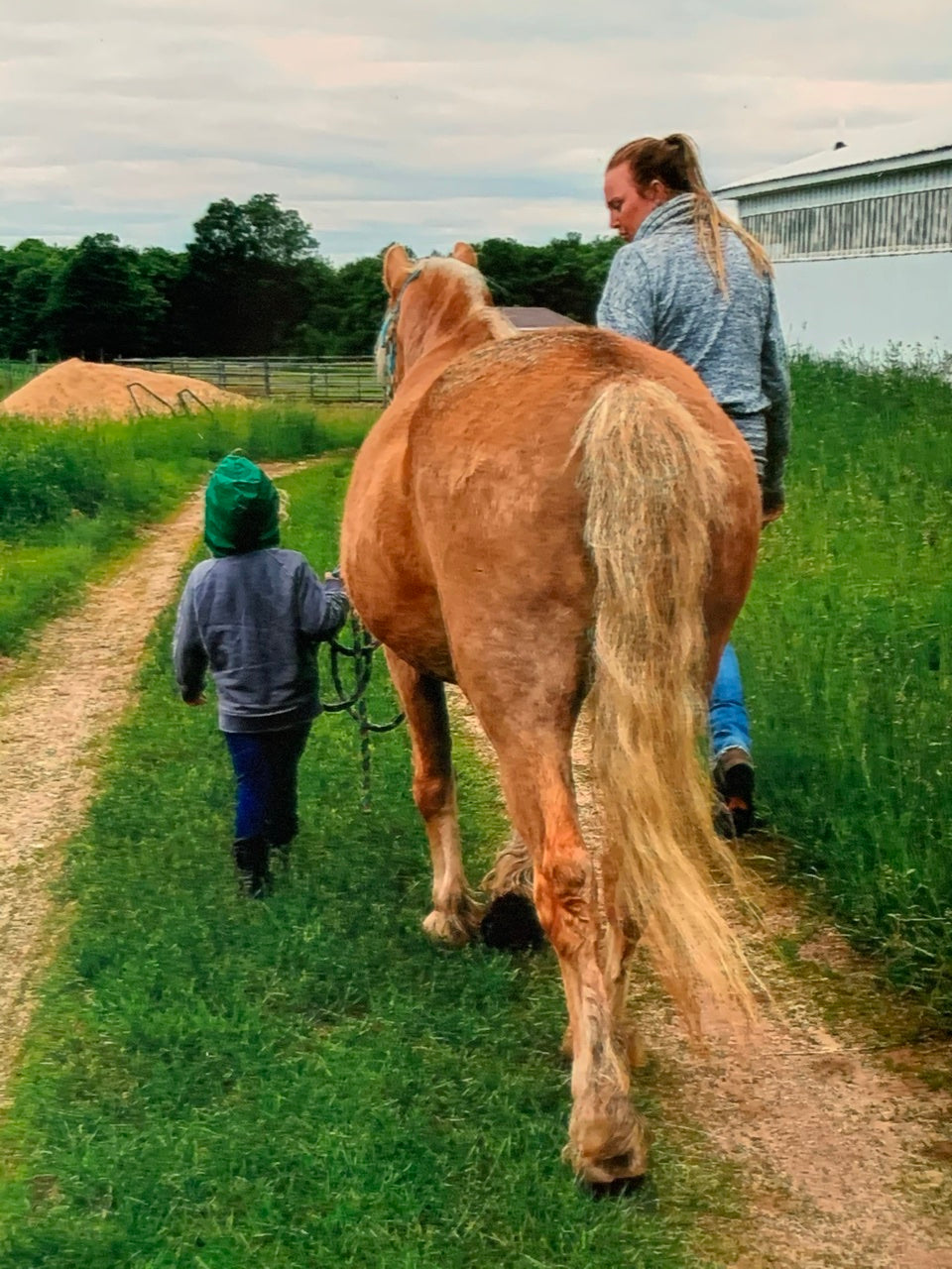 Unbridled Happiness