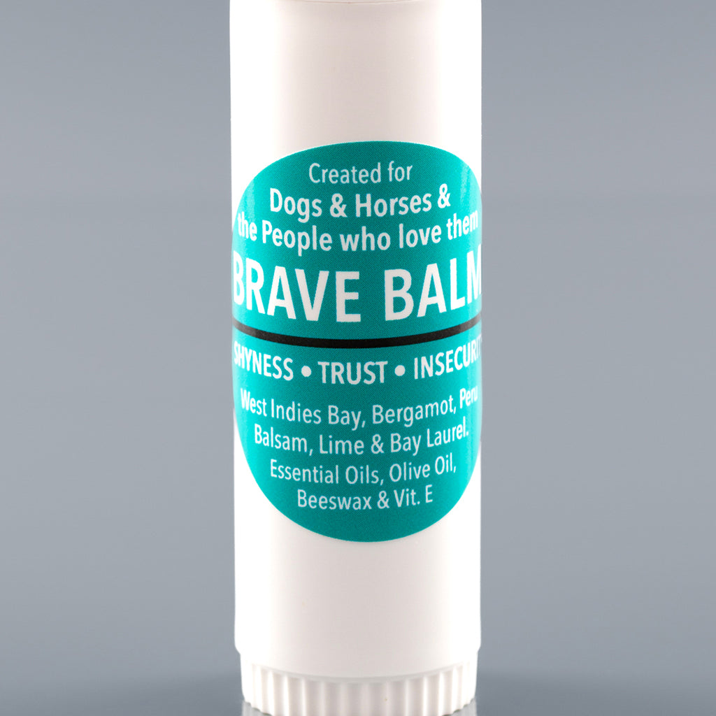 Brave Balm Stick