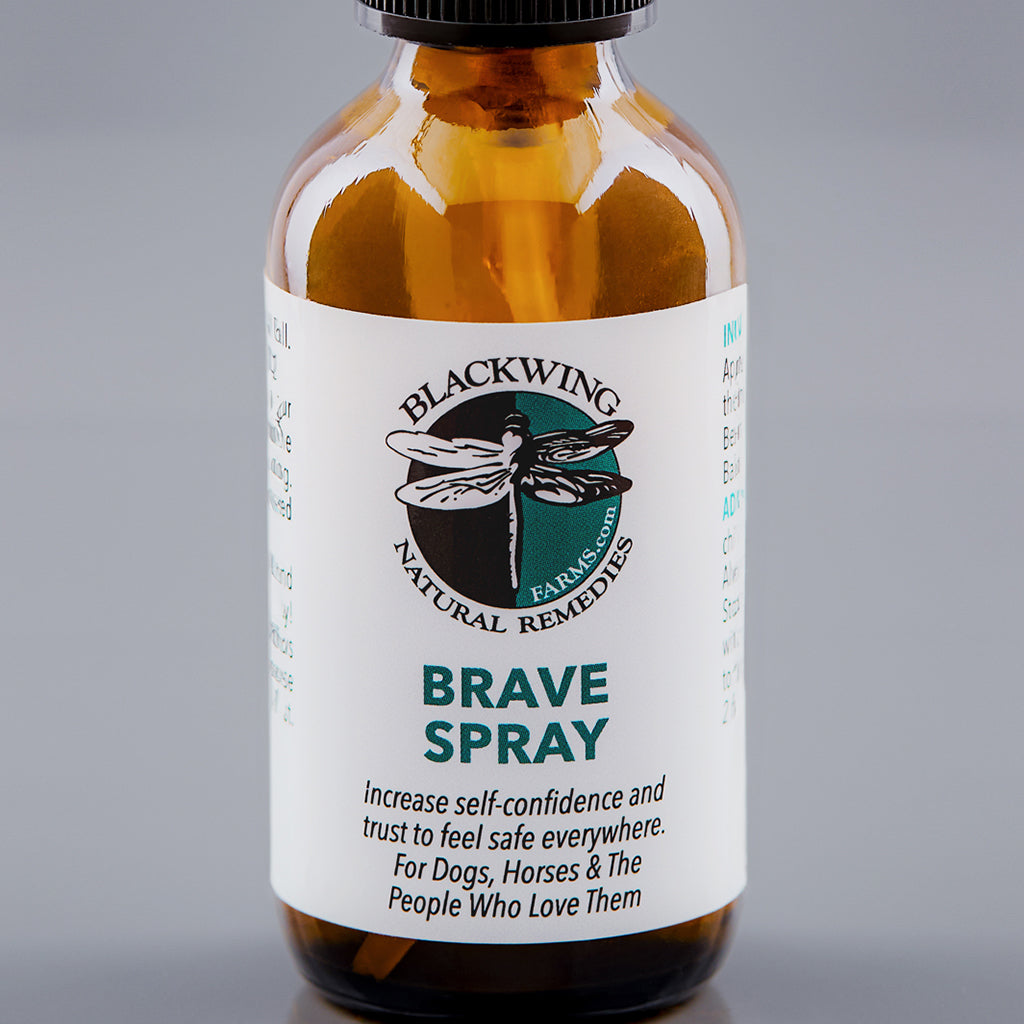 Brave Balm Spray ...to feel safe everywhere.