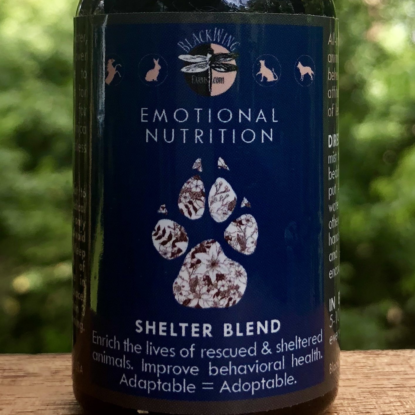 Shelter Blend Enriches Lives