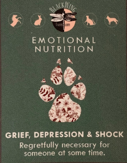 Grief, Depression, &amp; Shock