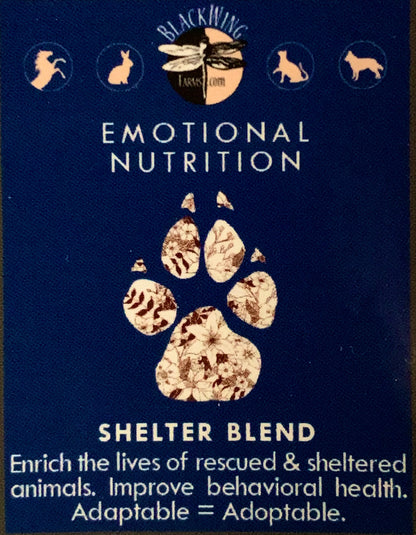 Shelter Blend Enriches Lives